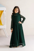 Poly Chiffon/Resham Cotton