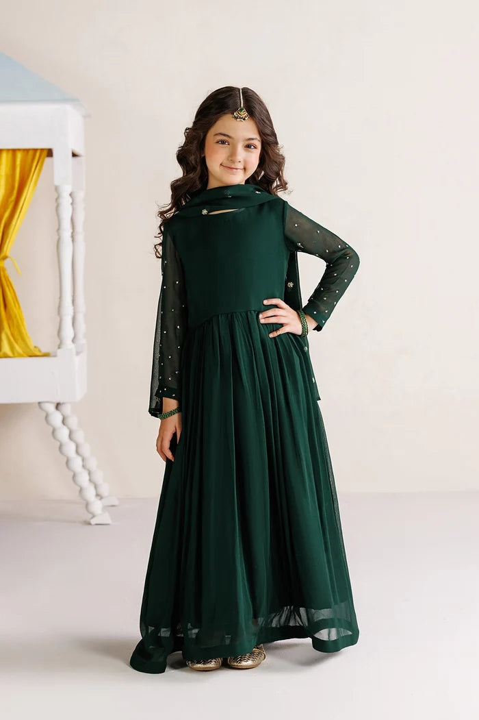 Poly Chiffon/Resham Cotton